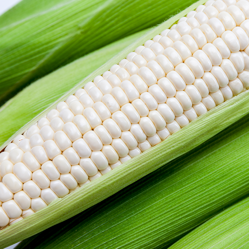 도나니 농장,2025년 도나니 농장 미백2호 찰옥수수 반접(50개)